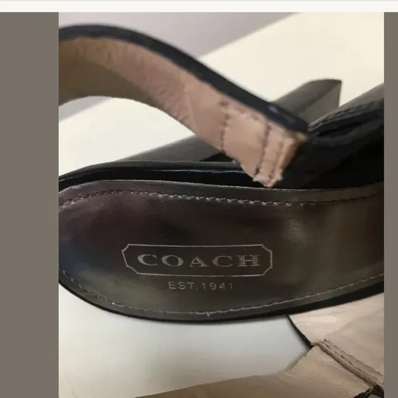 Coach Darcy Wood Heel Platform Sandals Black 8