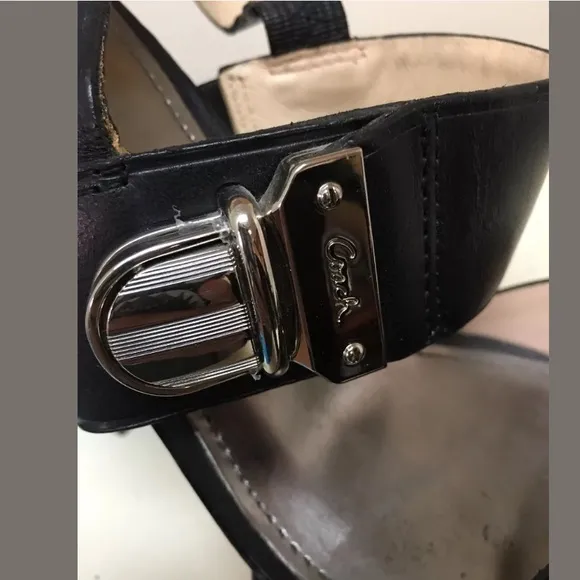 Coach Darcy Wood Heel Platform Sandals Black 8