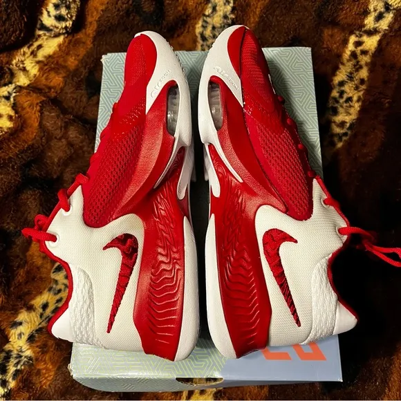 COPY - NEW Nike Zoom Freak 4 TB Basketball Sneakers