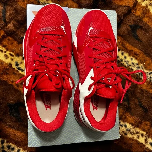 COPY - NEW Nike Zoom Freak 4 TB Basketball Sneakers