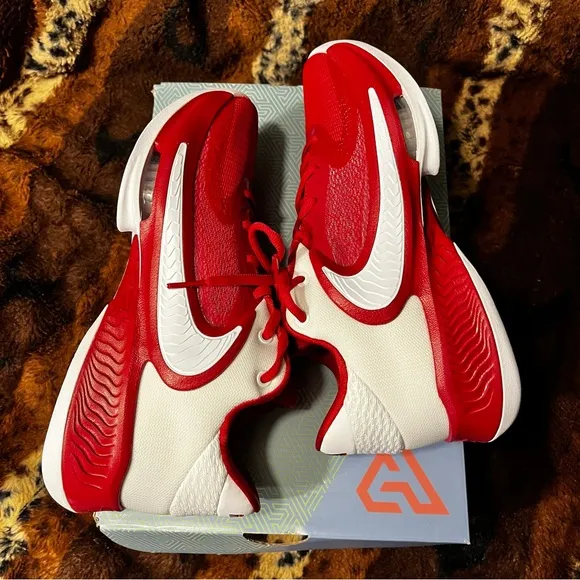 COPY - NEW Nike Zoom Freak 4 TB Basketball Sneakers