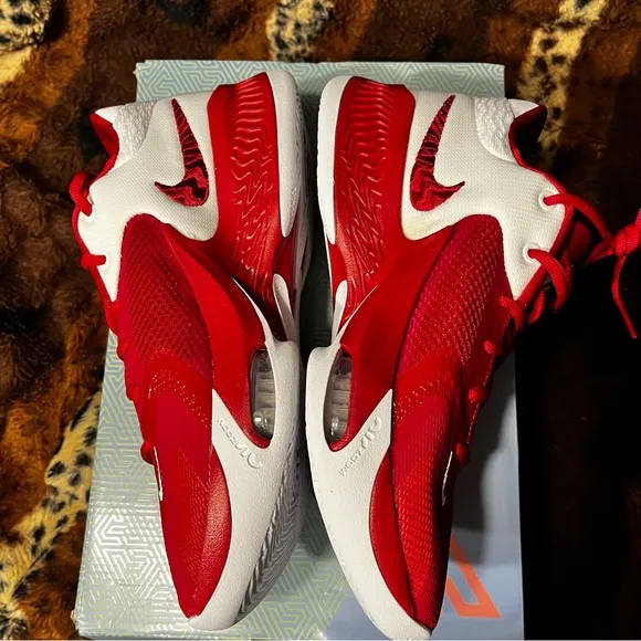 COPY - NEW Nike Zoom Freak 4 TB Basketball Sneakers