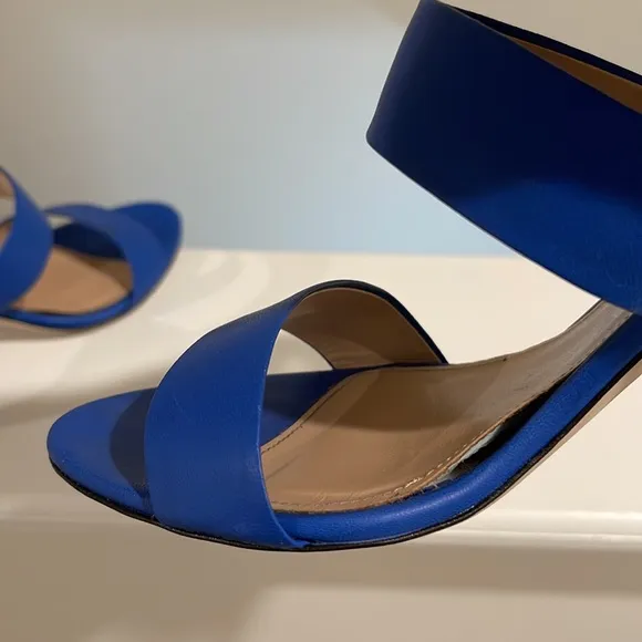 J.Crew 2Strap Boyd Blue Leather Sandals