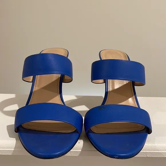 J.Crew 2Strap Boyd Blue Leather Sandals