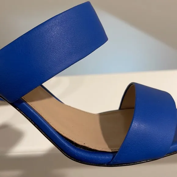 J.Crew 2Strap Boyd Blue Leather Sandals