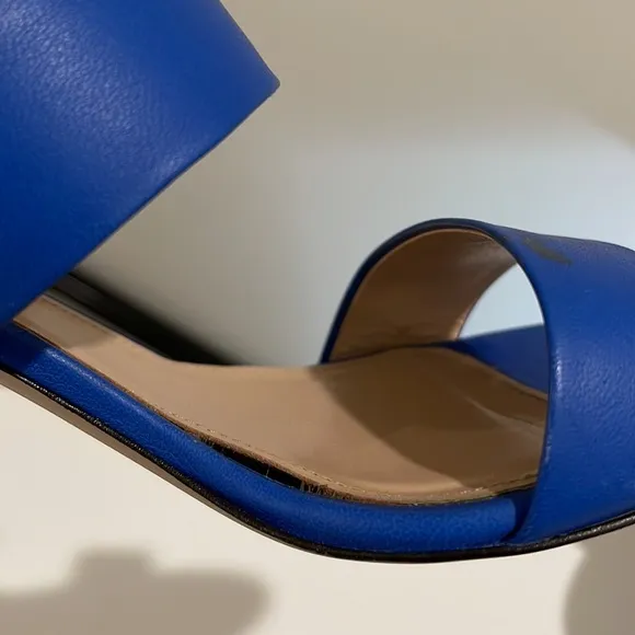 J.Crew 2Strap Boyd Blue Leather Sandals