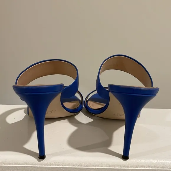 J.Crew 2Strap Boyd Blue Leather Sandals