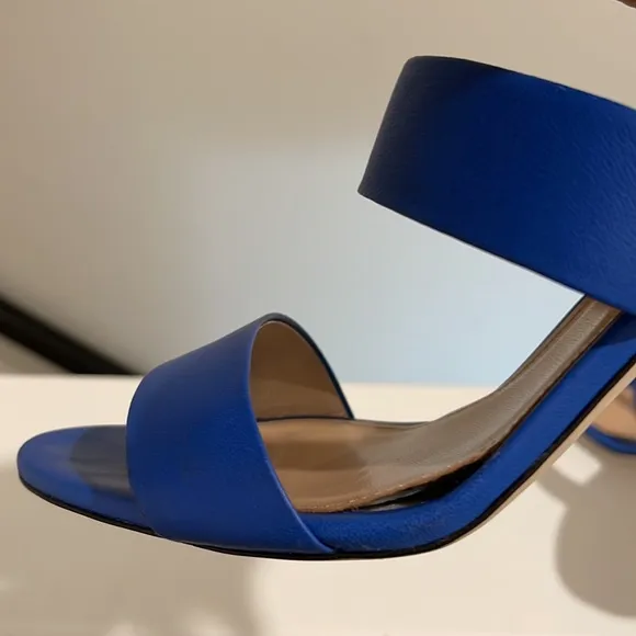 J.Crew 2Strap Boyd Blue Leather Sandals