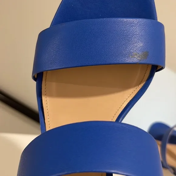 J.Crew 2Strap Boyd Blue Leather Sandals