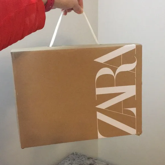 Zara Snakeskin Boots